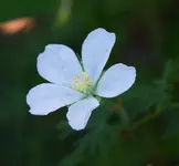 DSC01712(1).webp