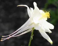 DSC01713(1).webp
