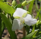 DSC01714(1).webp