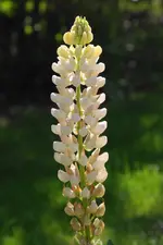 DSC01715(1).webp
