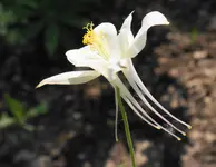 DSC01716(1).webp