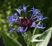 DSC01720(1).webp