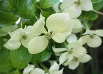 DSC01725(1).webp