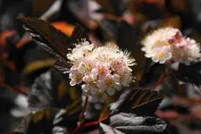 DSC01747(1).webp