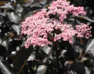DSC01750(1).webp