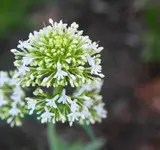 DSC01753(1).webp