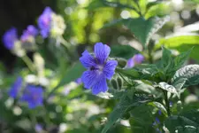 DSC01759(1).webp