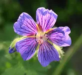 DSC01762(1).webp