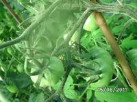 BILD0026.webp