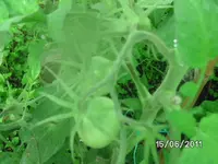 BILD0028.webp