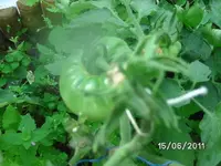 BILD0030.webp