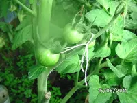 BILD0032.webp