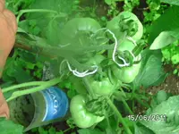 BILD0033.webp