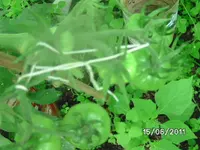 BILD0034.webp