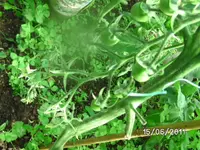 BILD0035.webp