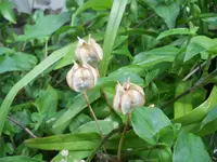 DSCN0784.webp