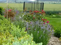DSCF9540.webp