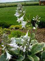 DSCF9545.webp