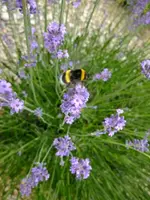 DSCF9560.webp