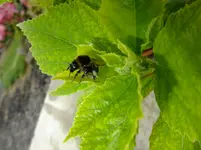 DSCF9561.webp