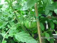 BILD0038.webp