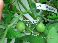 BILD0043.webp