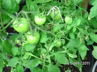 BILD0044.webp