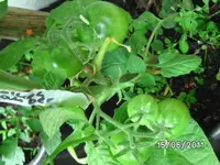 BILD0045.webp