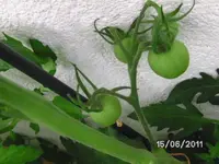BILD0046.webp