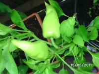 BILD0048.webp