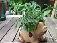 BILD0052.webp