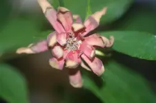 DSC05476.webp