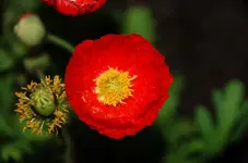 DSC_8372.webp