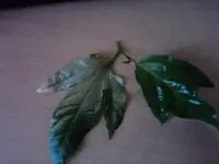 P150611_19.28.webp