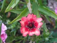 IMG_3532_1067x800.webp