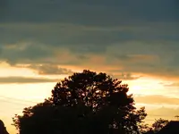 276.webp