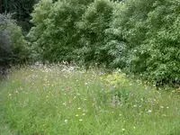 tn_Haus & Garten alt 267v.webp