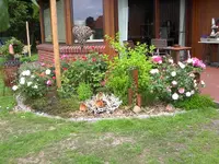 PICT0003.webp