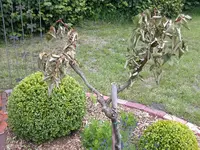 PICT0010.webp