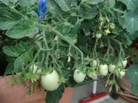 DSCF3172.webp