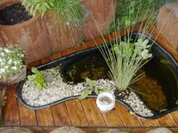 PICT0014.webp
