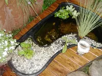 PICT0016.webp