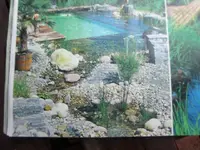 PICT0017.webp