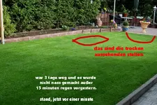 IMG_3393.webp