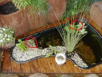 PICT0014.webp
