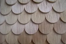 K800_100_2509.webp