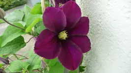 Neuer Ordner(3) 011.webp
