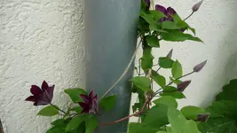 Neuer Ordner(3) 012.webp