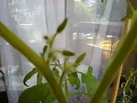 1308302403564.webp