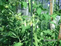 BILD0063.webp